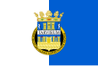 Provincie Treviso – vlajka