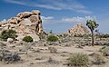 8. A Joshua Tree Nemzeti Park jellegzetes képe impozáns sziklákkal és Joshua fákkal (Yucca brevifolia). A kép a Banana Cracks képződményhez közeli parkoló felől készült (javítás)/(csere)