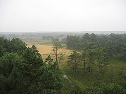 Kalmthoutse Heide