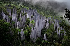 Mulu National Park, Malaysia Photo by Predložak:U