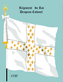 Drapeau blanc. Grande croix blanche semée de fleurs de lys d'or.