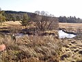 Le Thaurion en amont du pont de Sénoueix