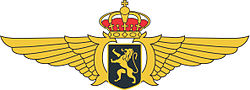 Belgický pilotní odznak