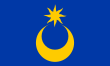 Vlag van Porthmouth