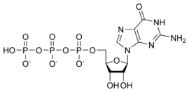 Chemická struktura GTP