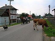 A road in Mănăstirea Humorului