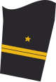 Ärmelabzeichen Dienstanzug Marineuniformträger (Truppendienst oder militärfachlicher Dienst)