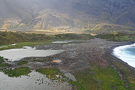 Île de l'Est, Crozet Islands, French Southern and Antarctic Lands