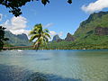 Vista de la badia de Cook a Moorea