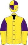 Yellow, purple and yellow halved sleeves, yellow and purple quartered cap