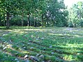 Sten og tørve labyrinter (Bohuslän, Sverige)