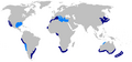 Copper shark geographic range