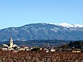 Mazan mit dem Mont Ventoux im Hintergrund