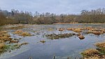 Moorweiher bei Gut Rastorf