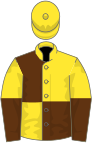 Yellow and brown (quartered), halved sleeves, yellow cap