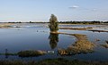 entre Slijk-Ewijk y Andelst, el Waal desde el Waaldijk al final de la marea alta