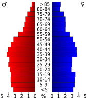 Bevolkingspiramide Bowie County