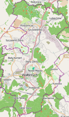 Mapa konturowa Wałbrzycha, w centrum znajduje się punkt z opisem „Wałbrzych Miasto”