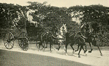 Skeleton break driven by Alfred G. Vanderbilt, c. 1902