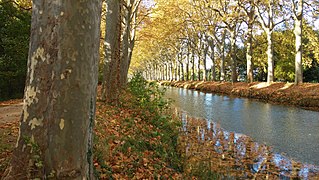 Canal du Midi (XVII sec.).