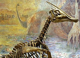 Скелет завролофа, Палеонтологический музей им. Ю. А. Орлова