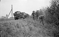 Duitse krijgsgevangenen worden langs een sloot binnen gebracht, voorbij aan Universal Carriers van de 6th Royal Welsh Fusiliers tijdens de gevechten rond 's-Hertogenbosch