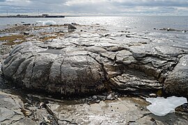 Thrombolites