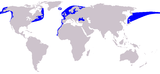 Aire de répartition du Marsouin commun