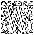 "W"