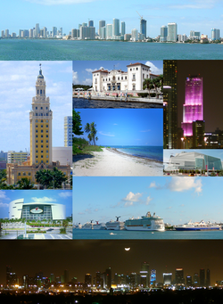 Din stânga sus, de la stânga la dreapta: panorama centrului orașului, Freedom Tower, Villa Vizcaya, Miami Tower, plaja din Virginia Key, Centrul Arsht, American Airlines Arena, Portul Miami, centrul orașului pe timpul nopții.