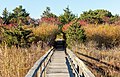 Image 68Quogue Village Wetlands Preserve