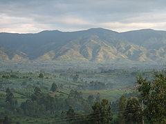 Blick op de Ruwenzori-Bargen