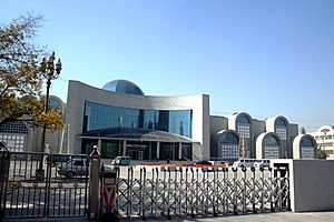 Музей Синьцзян-Уйгурского автономного района