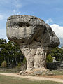 Other mushroom rock
