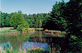 Image 34The Blackbird Pond on the Blackbird State Forest Meadows Tract in New Castle County, Delaware (from Delaware)