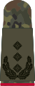 Oberst i.G. (Gen. staff service)