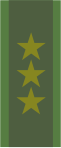 Svenska armén