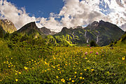 Prados alpinos, tierras altas de Alaniya