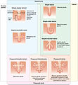 Thumbnail for version as of 09:40, 13 December 2013