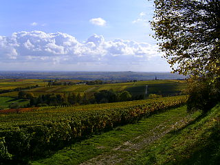 Oberhaardt bei Gleisweiler