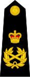 Captain General, Royal Marines.