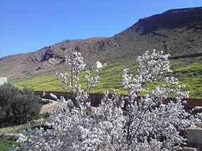 Paisagem na região de Ifrane Atlas Saghir no final de janeiro de 2015