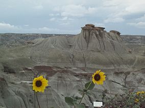 Hoodoos din Parcul Dinozaurilor