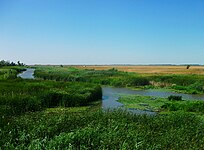 Hortobágy, grassland