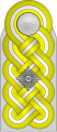 Shoulder board (Waffen-SS)