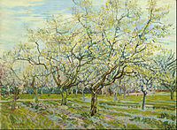 The White Orchard April 1888 Van Gogh Museum, Amsterdam (F403)