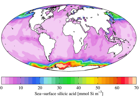 Concentration of silicic acid in the upper pelagic zone,[42] showing high levels in the Southern Ocean