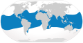 Oceanic whitetip shark geographic range