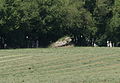 Dolmen de la Croisonnière