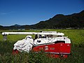 Gui (Wanju) - September 2018 (1) Rice harvester.